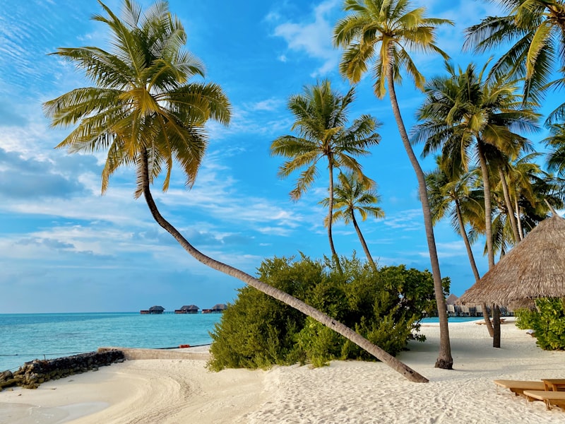 Pristine beach in Fiji with clear water and coral reef